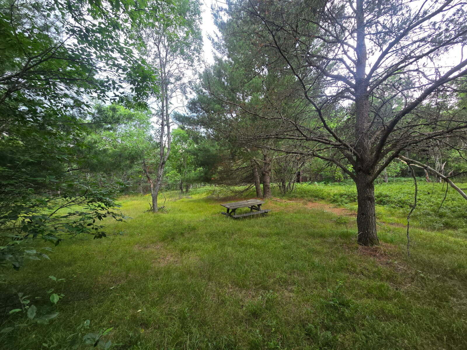 11722 Behlke Road Southeast Fife Lake, MI 49633 - Photo 6 of 20 4
