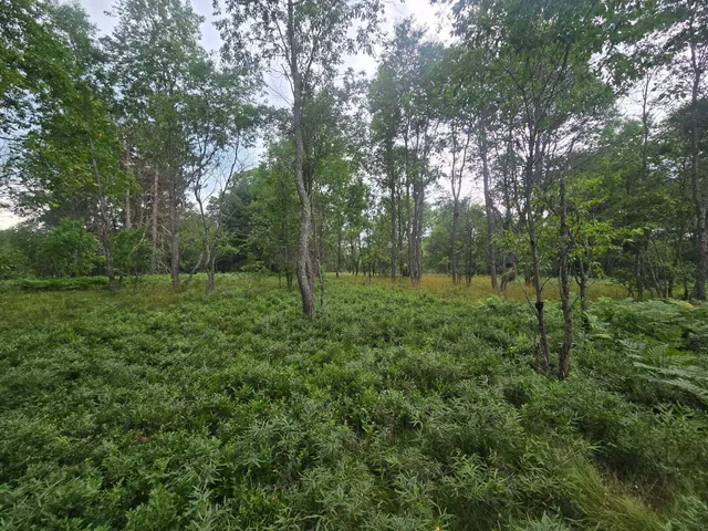 $59,900 | 11722 Behlke Road Southeast, Fife Lake, MI 49633