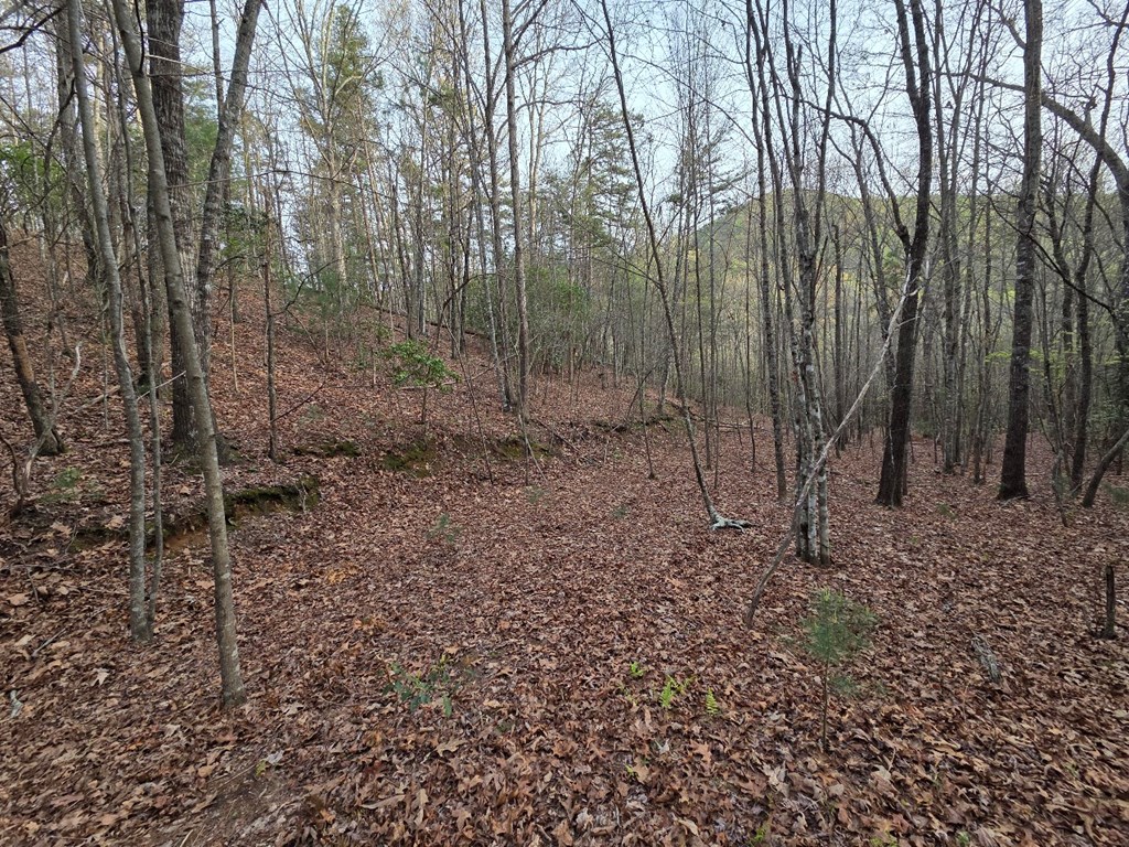 Lot 53 Calvender Road Turtletown, TN 37391 - Photo 10 of 14 Gallery Image 10