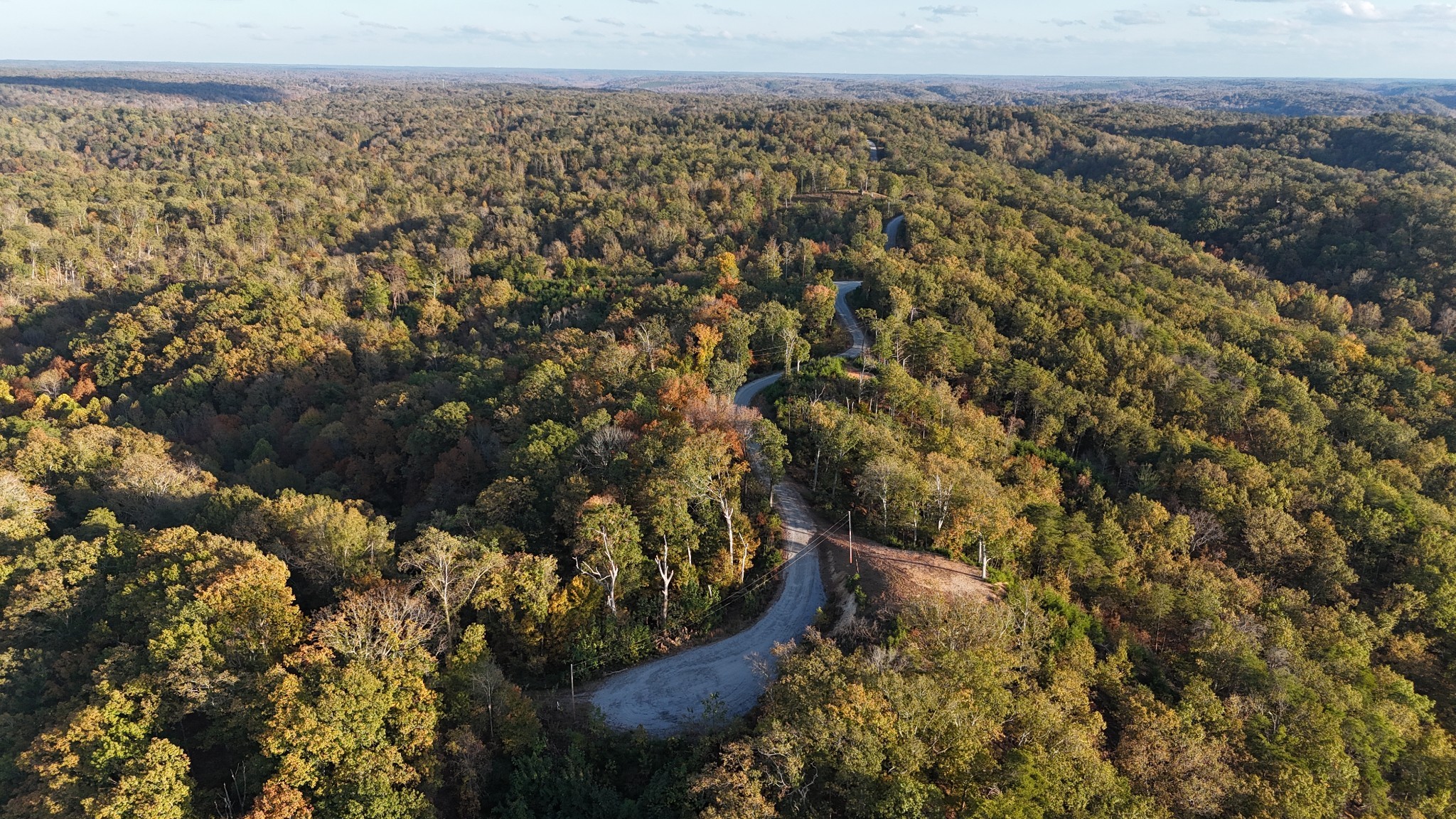 0 Float Drive Waverly, TN 37185 - Photo 15 of 44 a view of a forest with a street