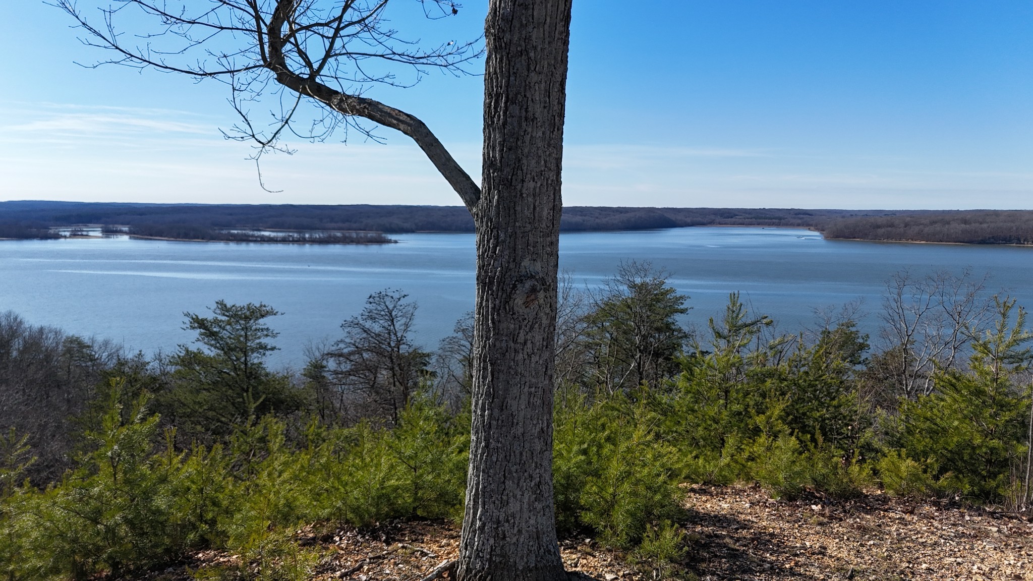 0 Float Drive Waverly, TN 37185 - Photo 20 of 44 a view of a lake