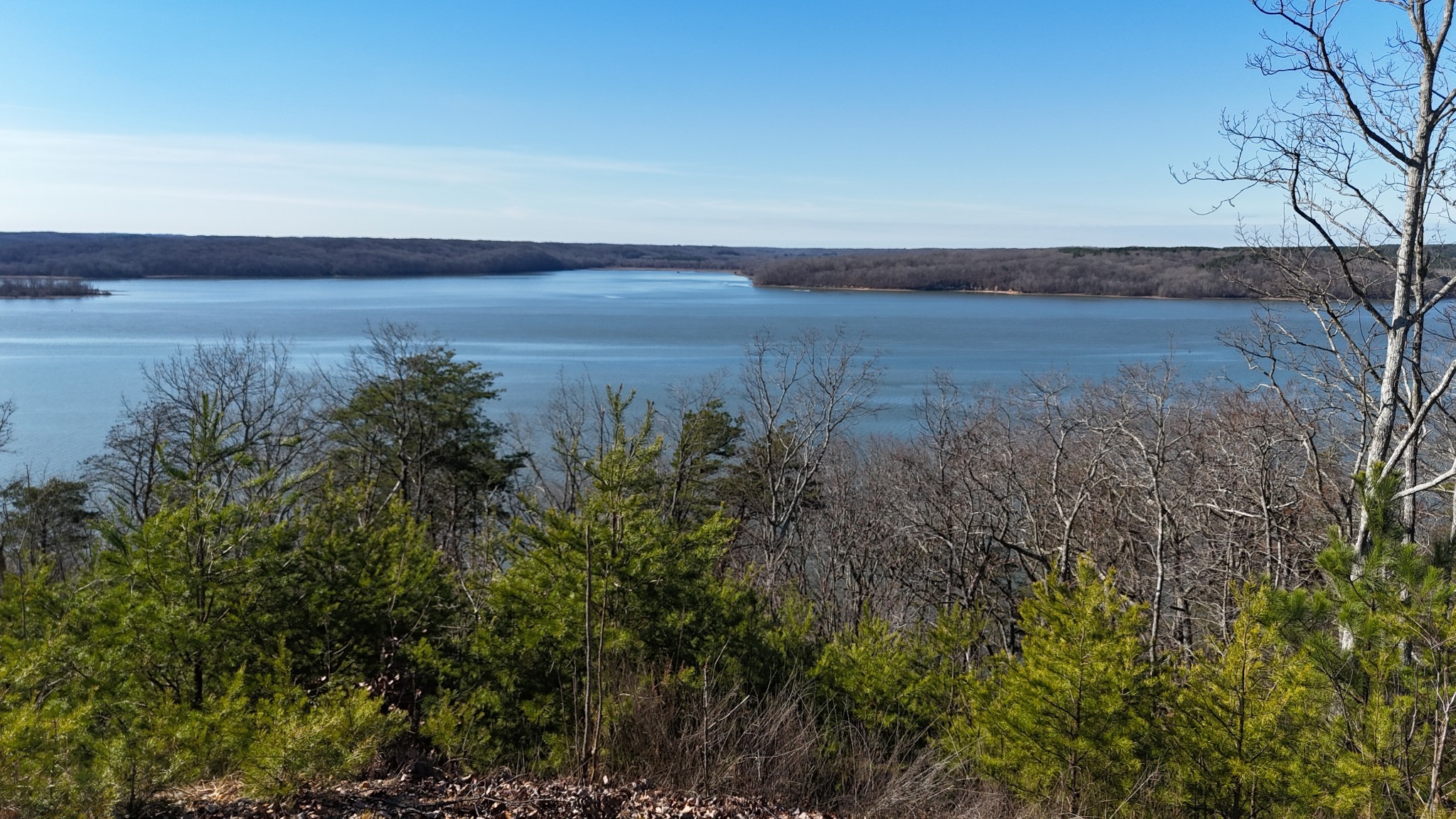 0 Float Drive Waverly, TN 37185 - Photo 22 of 44 a view of a field with an trees