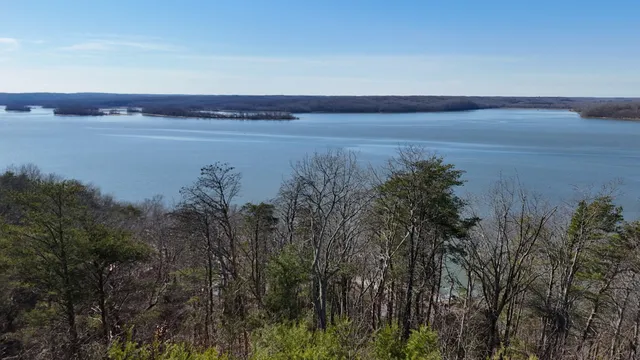 a view of a yard with an trees
