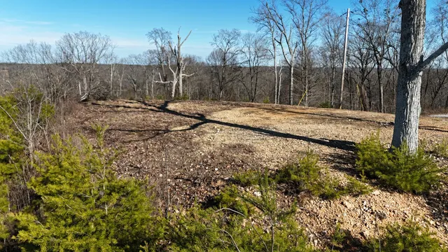 a view of a yard with an outdoor space