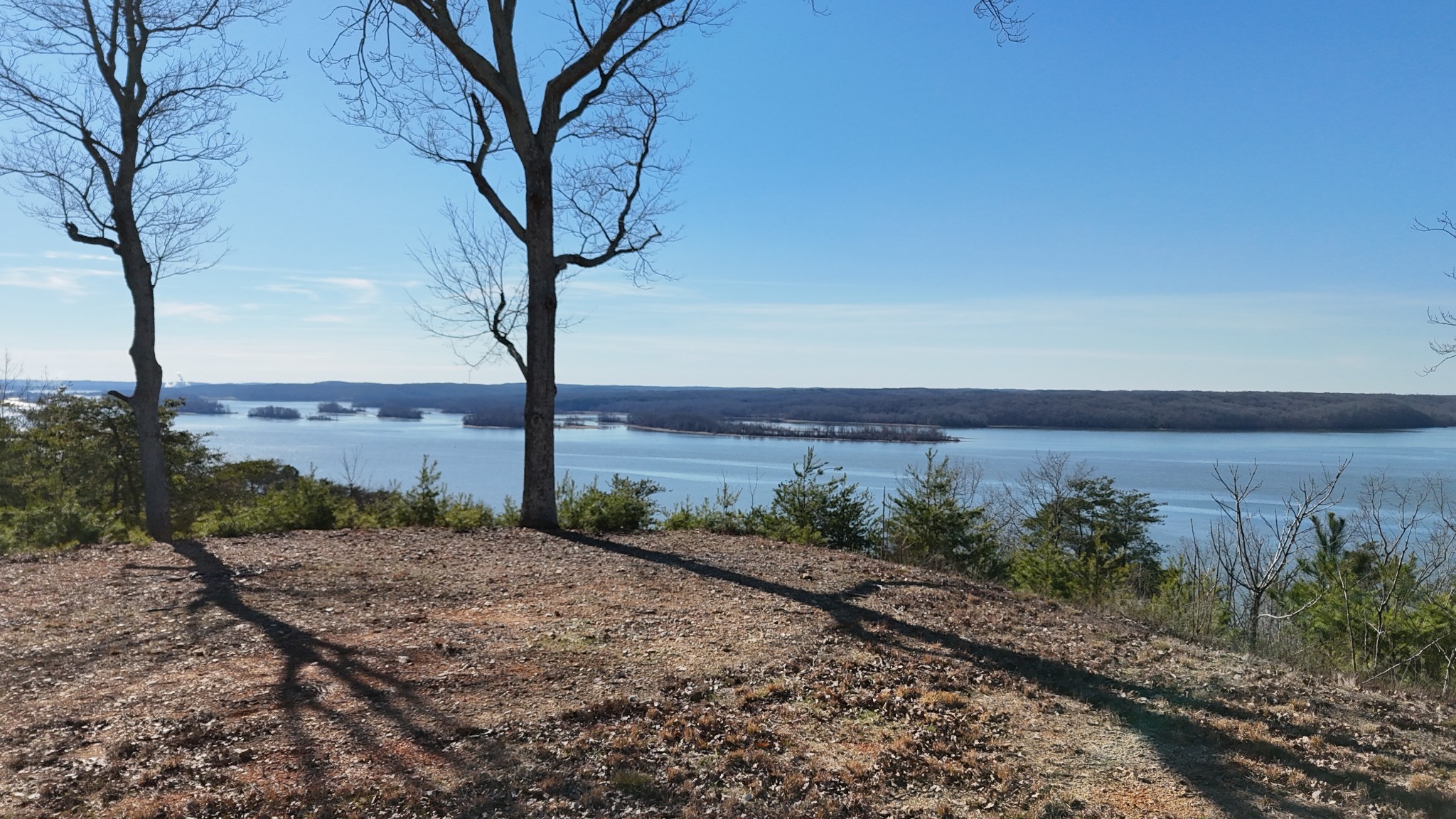 0 Float Drive Waverly, TN 37185 - Photo 33 of 44 a view of a yard with an trees
