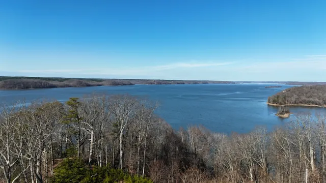 a view of a yard next to a road and tree