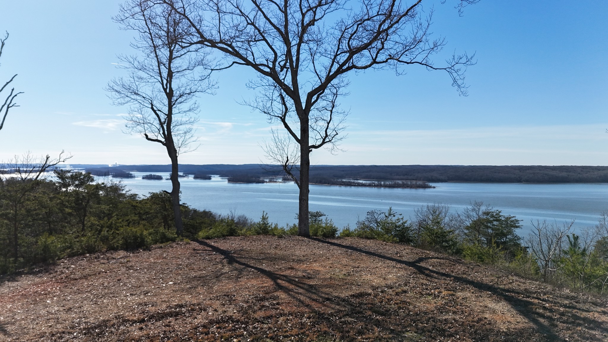 0 Float Drive Waverly, TN 37185 - Photo 38 of 44 a view of a yard next to a large tree