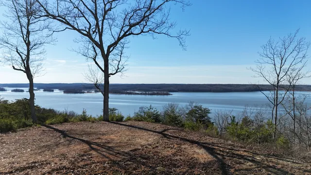 a view of a yard with wooden fence