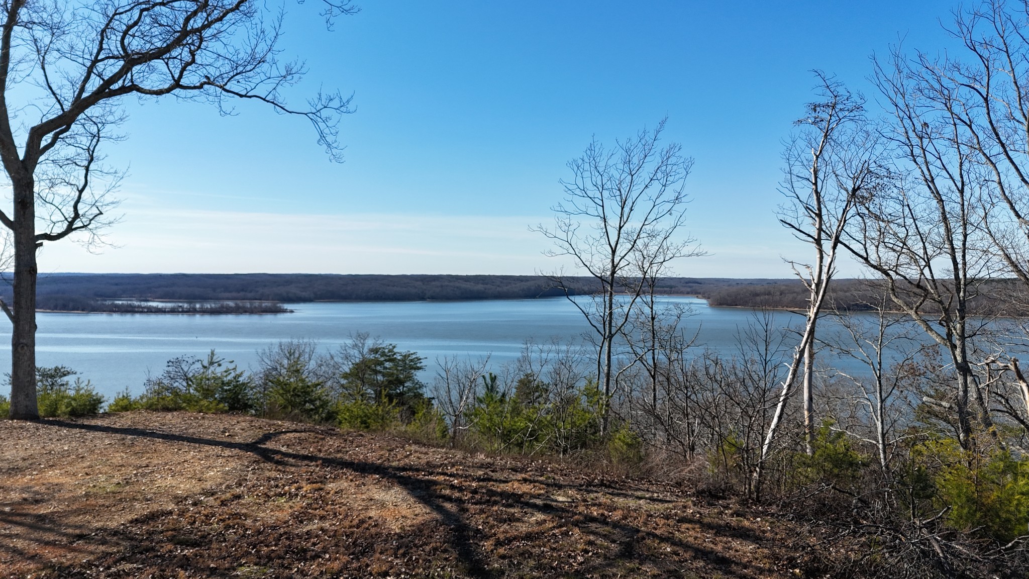 0 Float Drive Waverly, TN 37185 - Photo 40 of 44 a view of a yard next to a lake