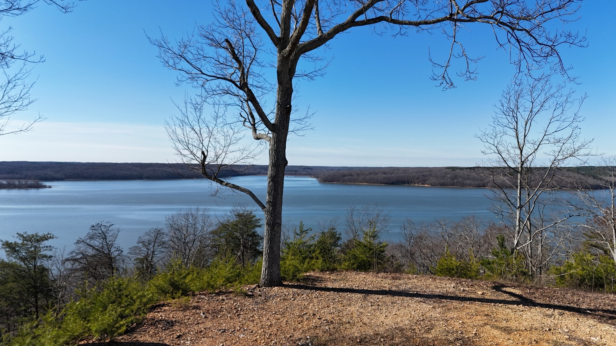 0 Float Drive Waverly, TN 37185 - Photo 42 of 44 a view of a backyard of the house