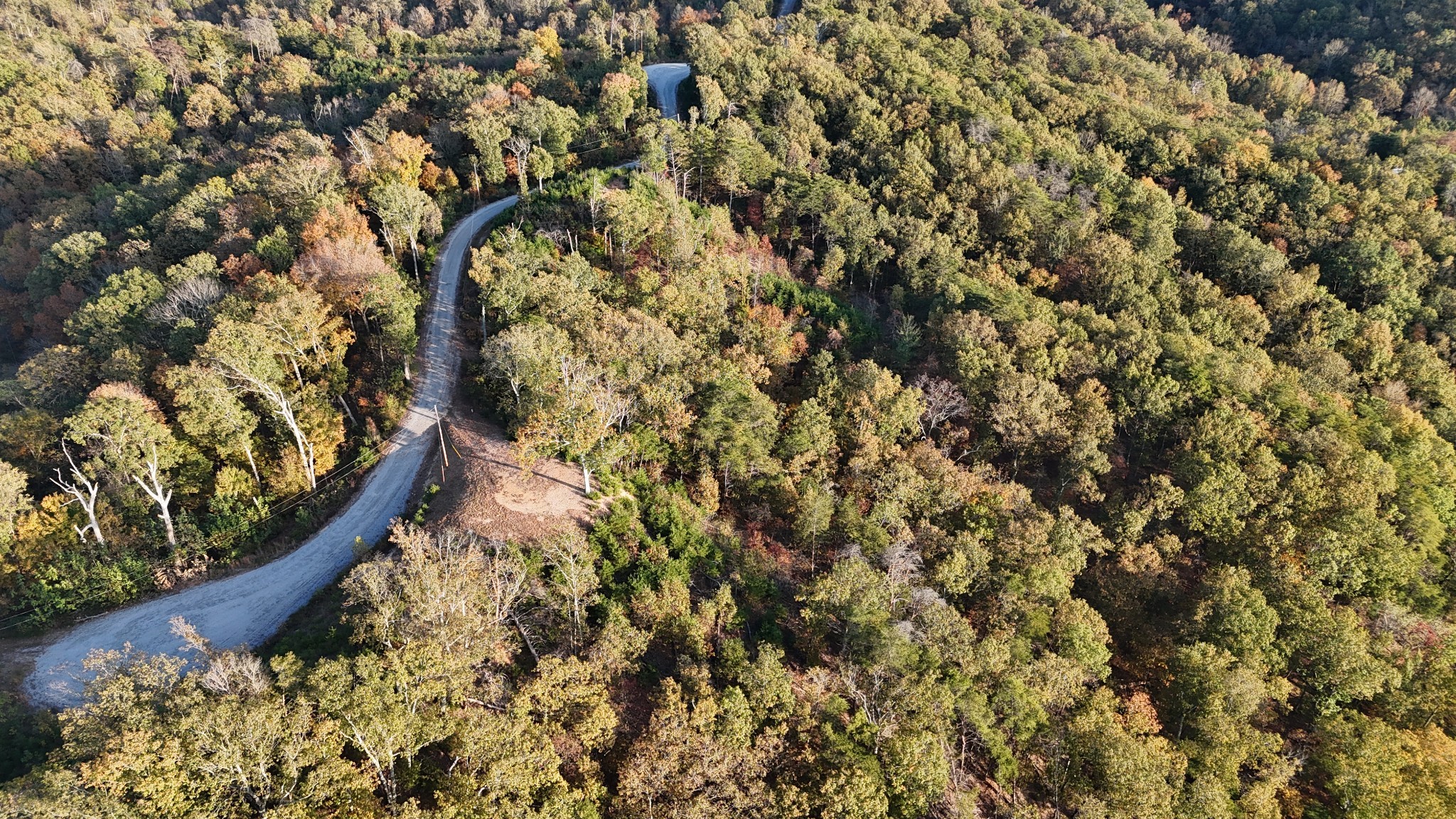 0 Float Drive Waverly, TN 37185 - Photo 8 of 44 a view of a yard