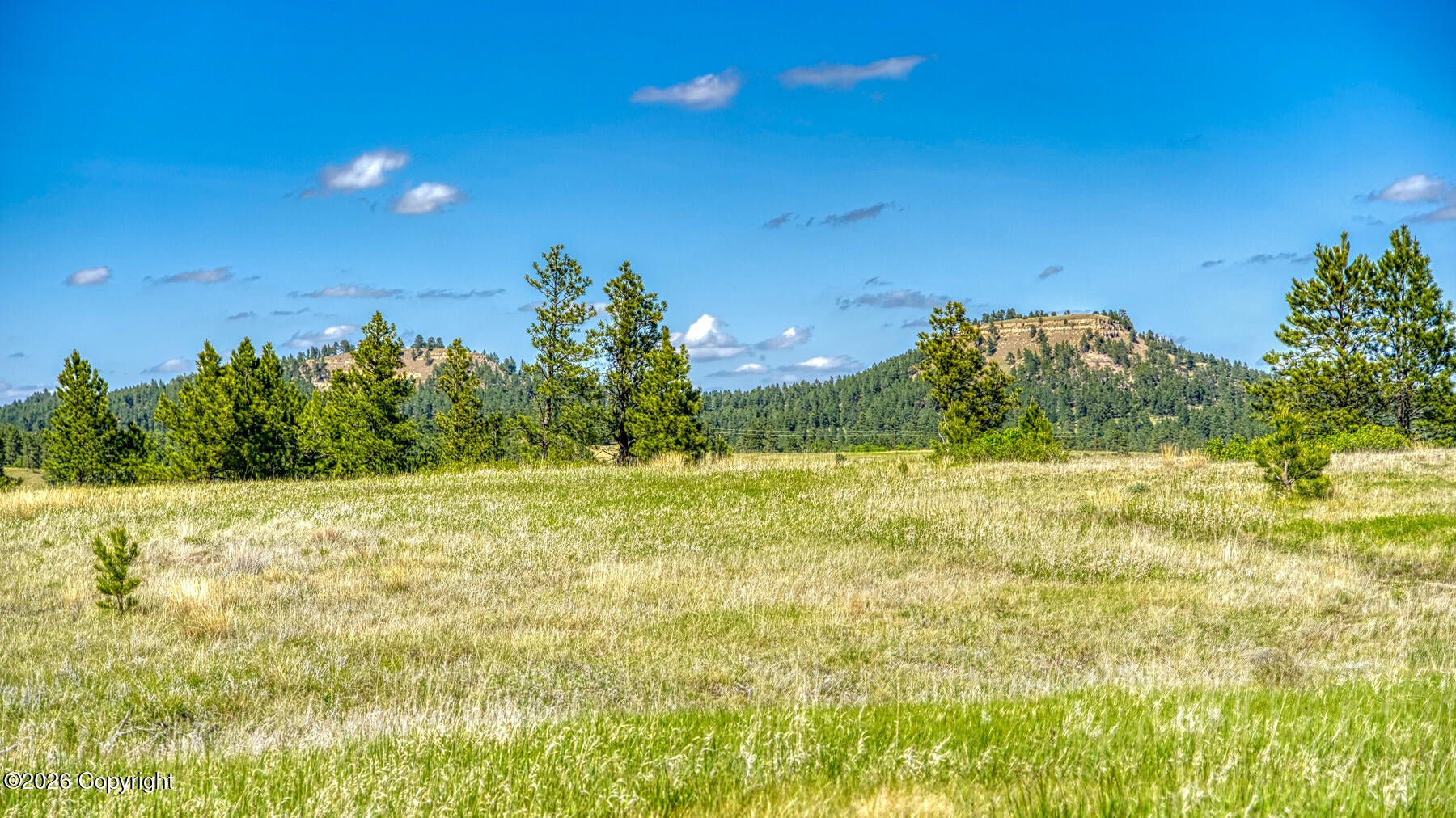 11 Soaring Eagle Road Hulett, WY 82720 - Photo 15 of 43 Gallery Image 15