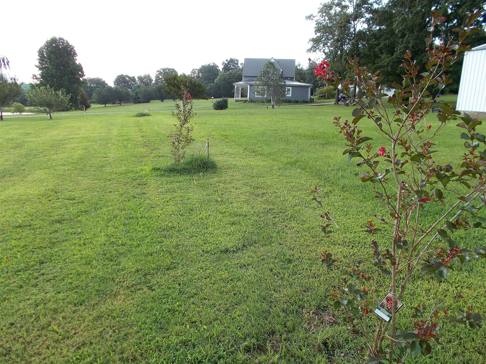 1098 Old Stage Road Dickson, TN 37055 - Photo 11 of 30 Gallery Image 11