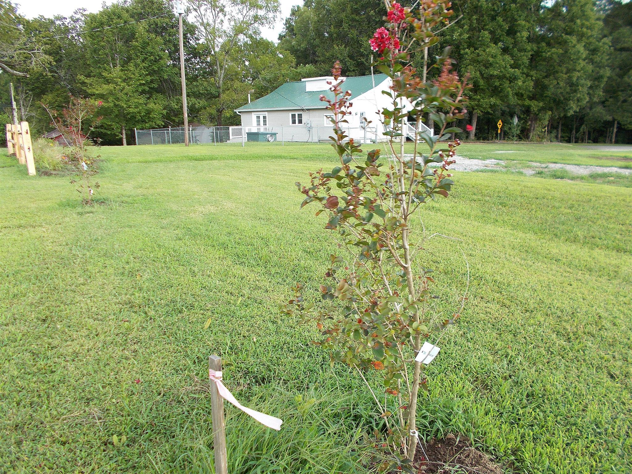 1098 Old Stage Road Dickson, TN 37055 - Photo 9 of 30 Gallery Image 9