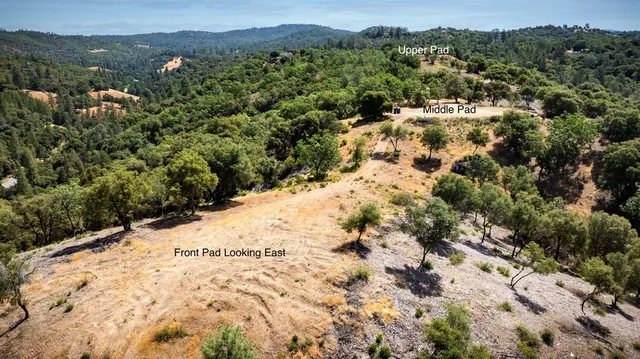 a view of a yard with trees