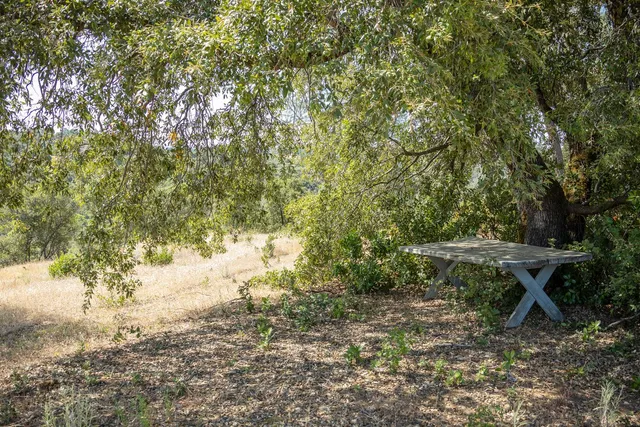 a view of a yard with a tree