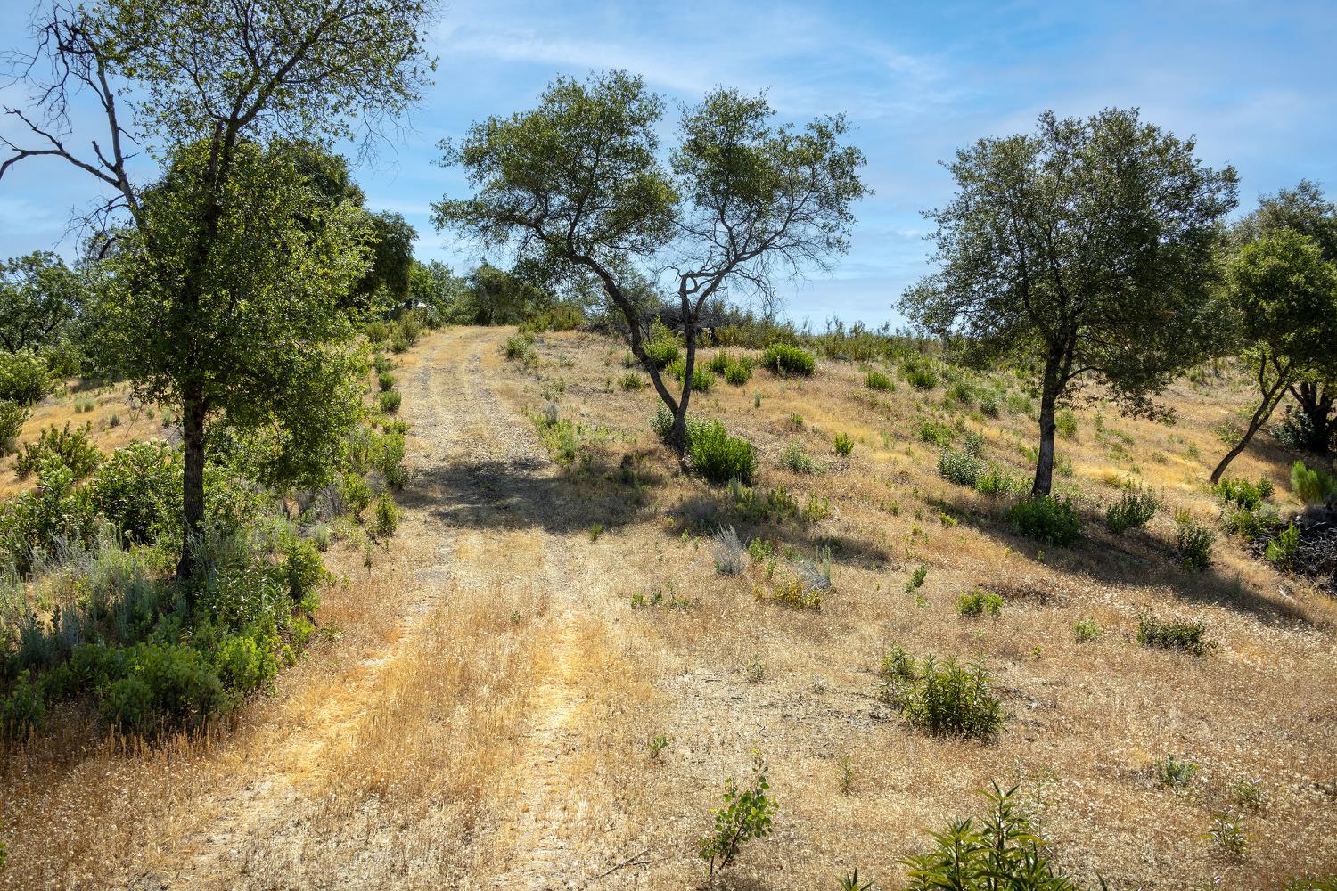 11051 Upper Previtali Road Jackson, CA 95642 - Photo 19 of 67 THE ROAD FROM MIDDLE PAD TO THE FRONT PAD