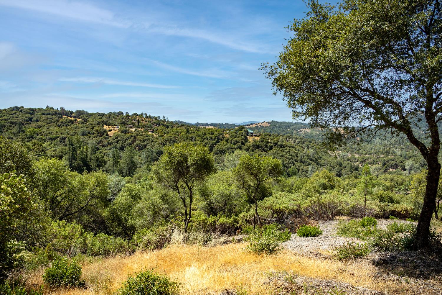 11051 Upper Previtali Road Jackson, CA 95642 - Photo 23 of 67