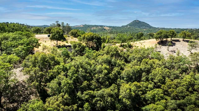a view of a yard with wooden fence