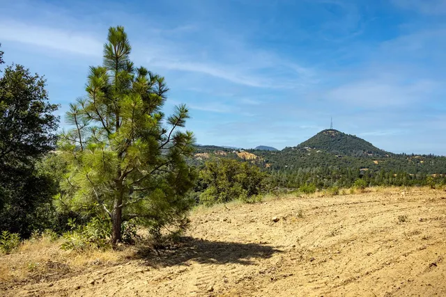 a view of a trees with a yard