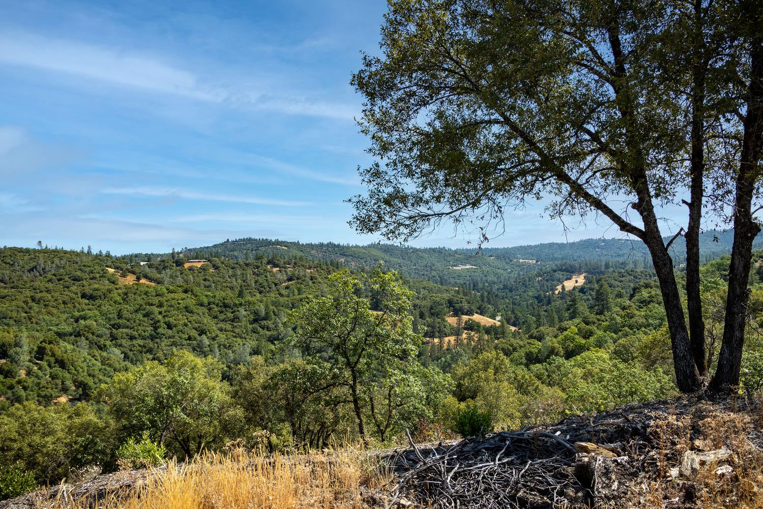 11051 Upper Previtali Road Jackson, CA 95642 - Photo 39 of 67