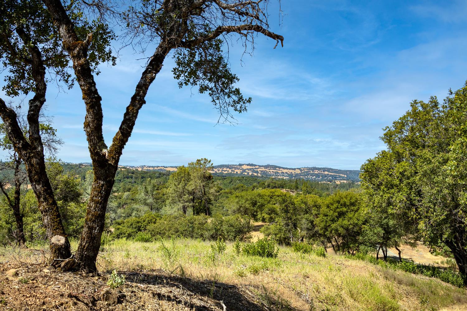 11051 Upper Previtali Road Jackson, CA 95642 - Photo 40 of 67