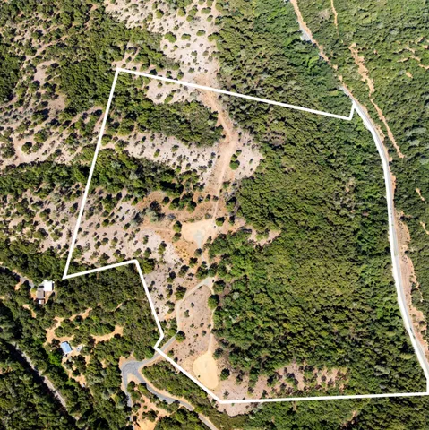 a view of a park with large trees