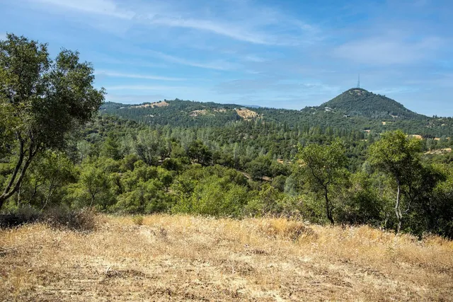 a view of a yard with an outdoor space