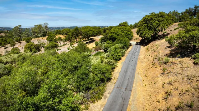 a view of a field with an ocean