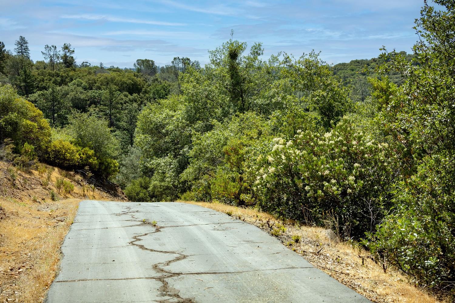 11051 Upper Previtali Road Jackson, CA 95642 - Photo 43 of 67