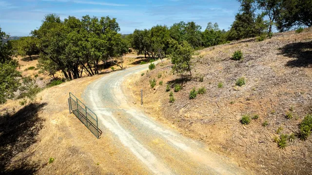 a view of a tree with a yard