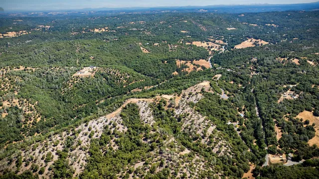 a view of a city with lush green forest