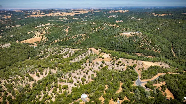 a view of a large yard with lots of bushes