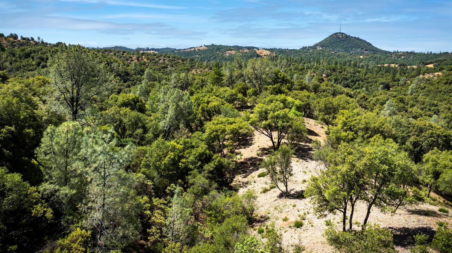 11051 Upper Previtali Road Jackson, CA 95642 - Photo 51 of 67