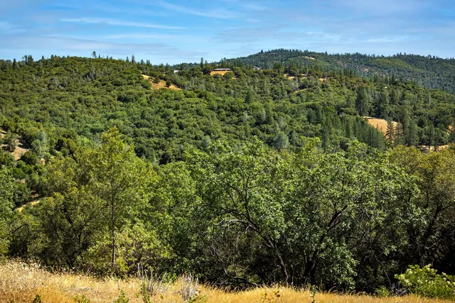 $429,000 | 11051 Upper Previtali Road, Jackson, CA 95642