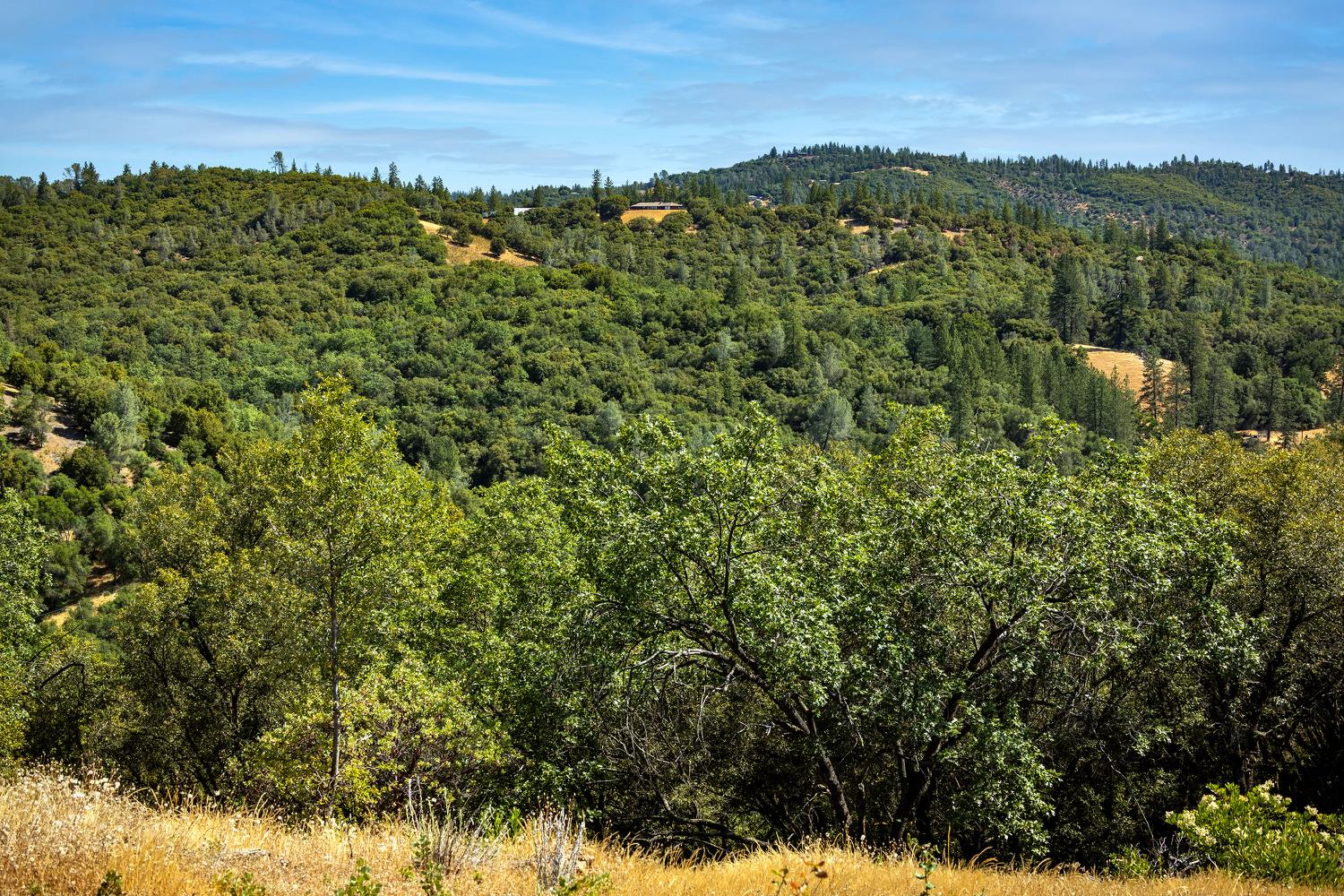 11051 Upper Previtali Road Jackson, CA 95642 - Photo 55 of 67