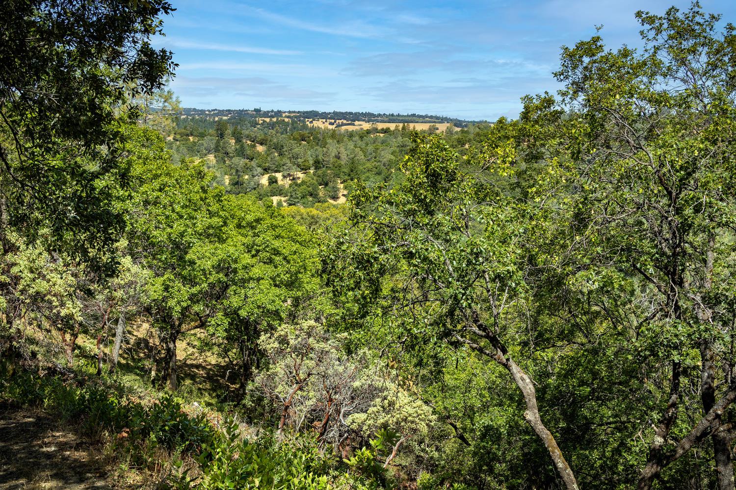 11051 Upper Previtali Road Jackson, CA 95642 - Photo 58 of 67