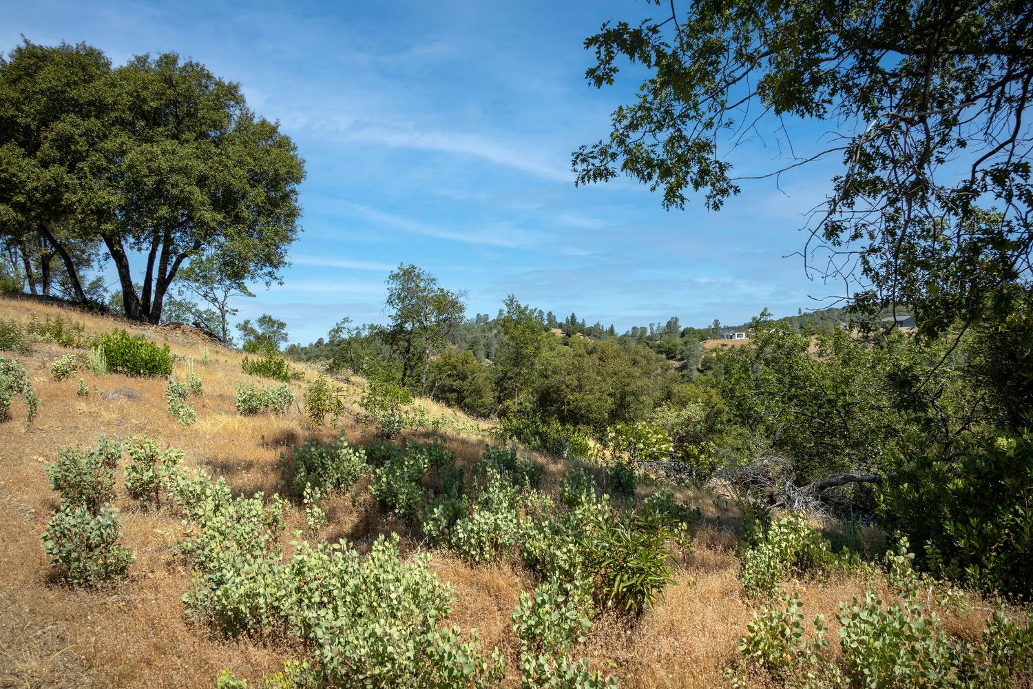 11051 Upper Previtali Road Jackson, CA 95642 - Photo 59 of 67