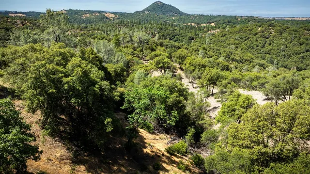 $429,000 | 11051 Upper Previtali Road, Jackson, CA 95642