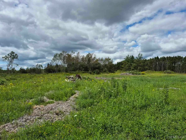 $44,000 | E 40-acres East 40-acres Frenette Road, Gulliver, MI 49840