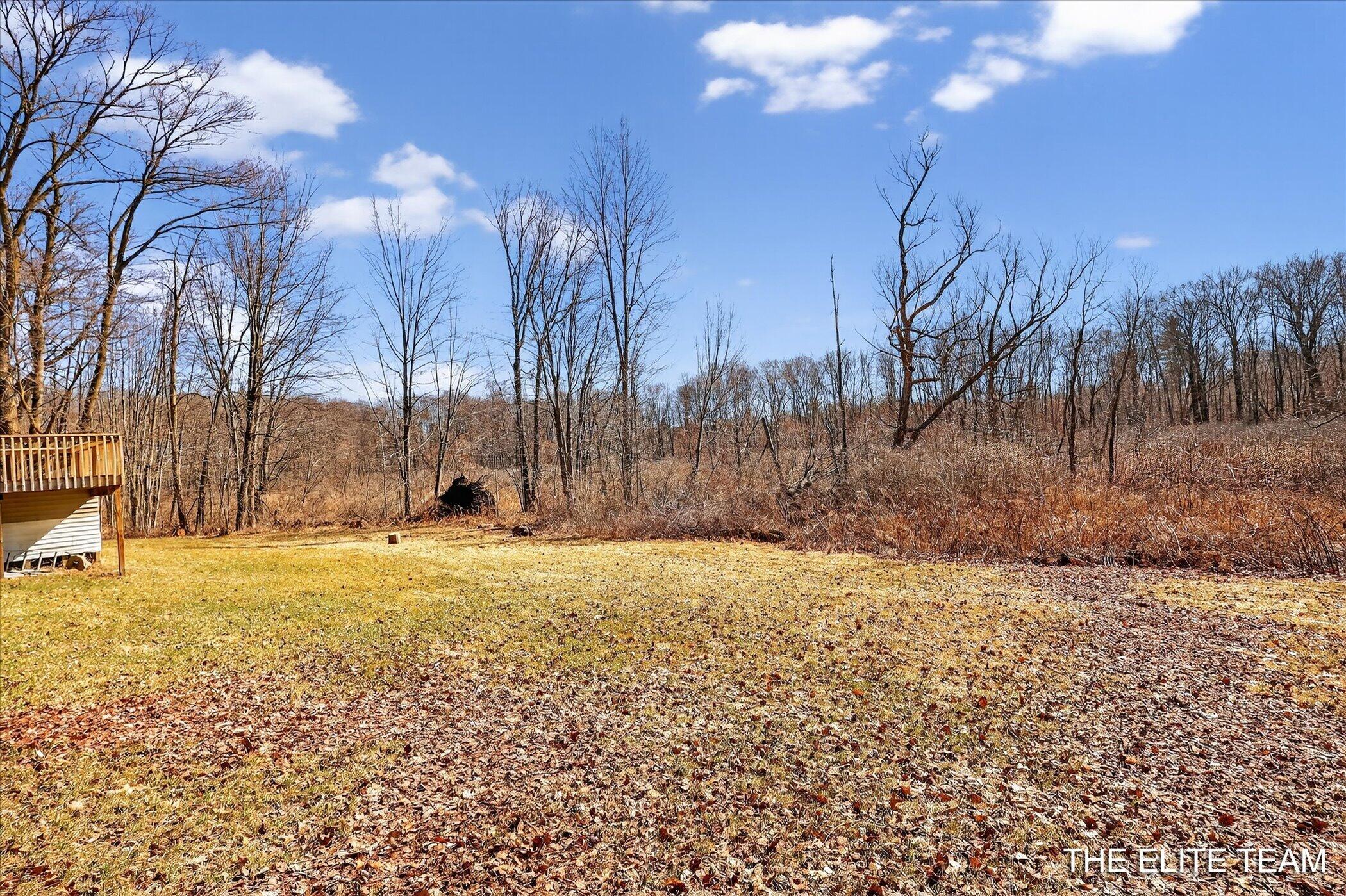 343 West Long Lake Road Orleans, MI 48865 - Photo 34 of 50 036-343-W-Long-Lake-Rd-Orleans-MI-48865-