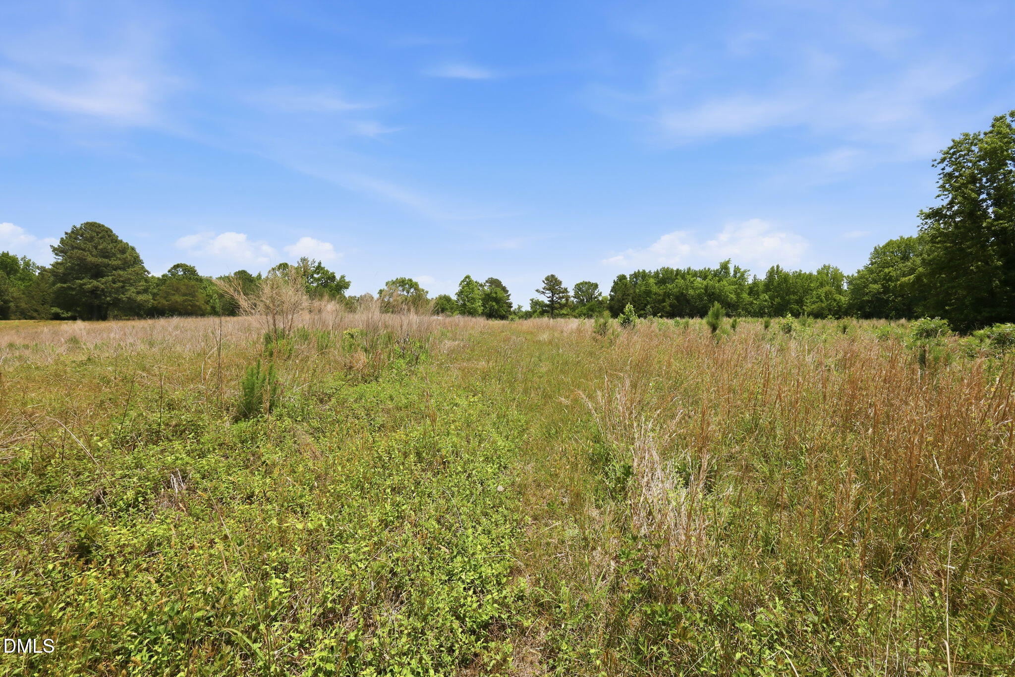 0 Pope Road Creedmoor, NC 27522 - Photo 18 of 19