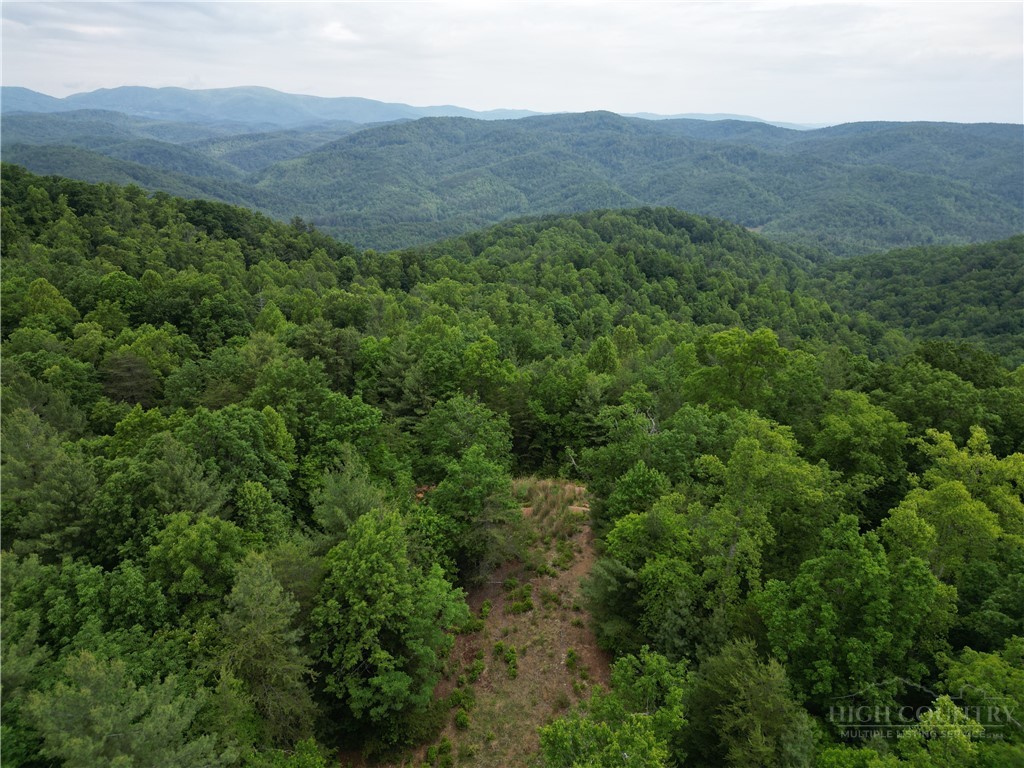 a view of a mountain range with lush green forest