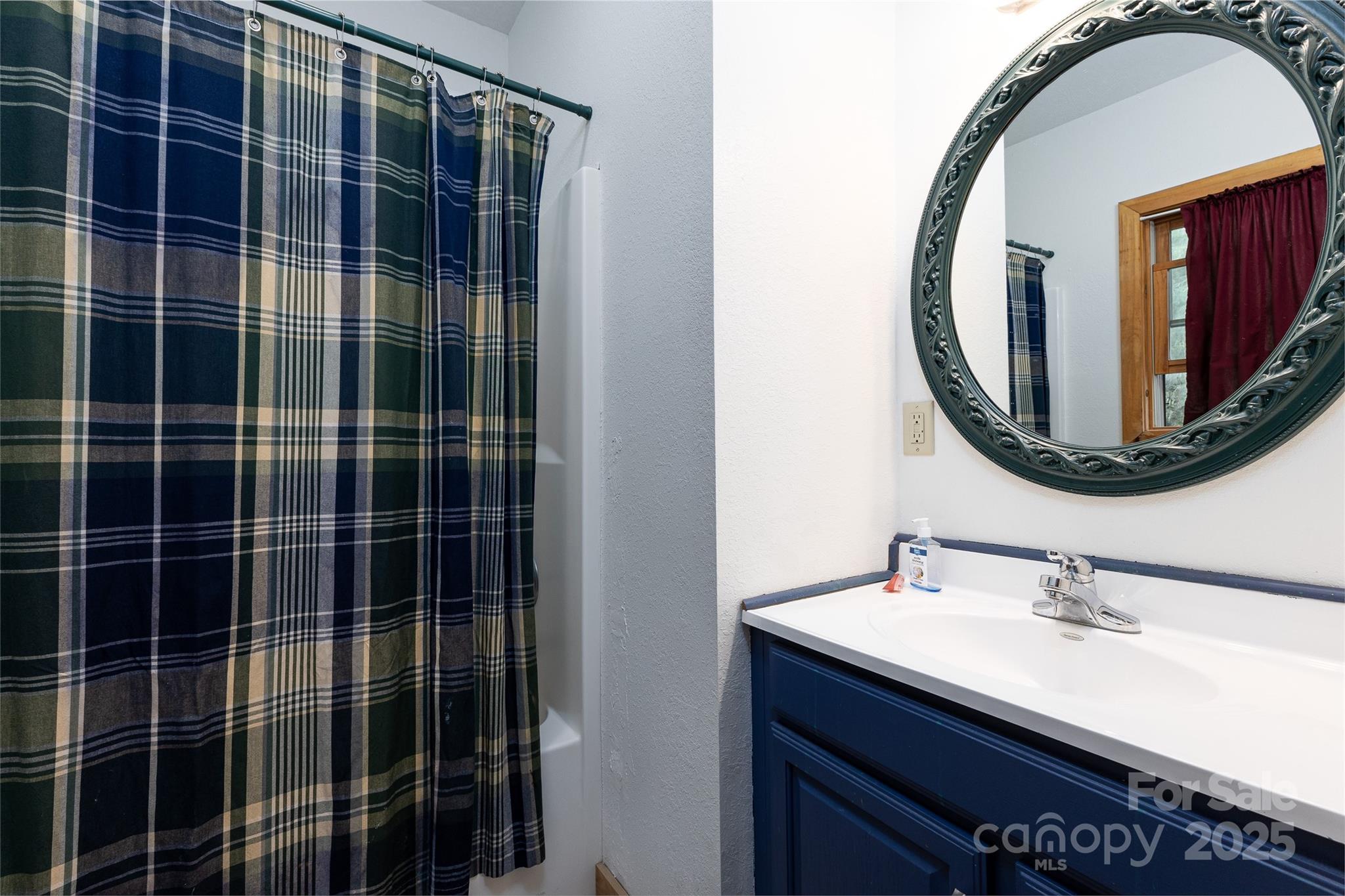 242 Eagles Roost Road Bryson City, NC 28713 - Photo 18 of 33 a bathroom with a sink mirror and vanity