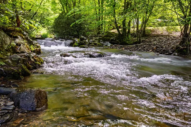 a view of swimming pool with a yard and large trees