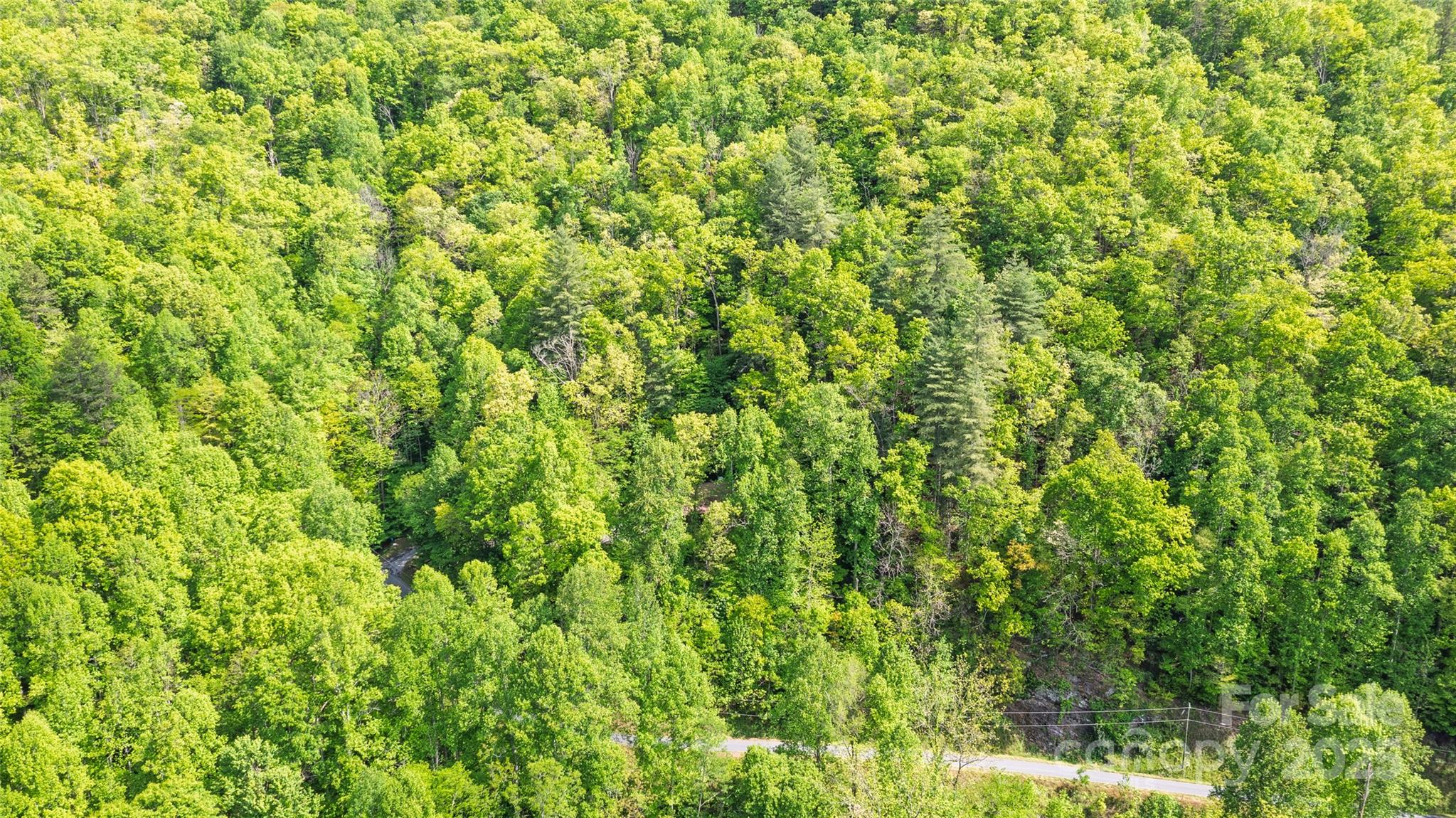 242 Eagles Roost Road Bryson City, NC 28713 - Photo 30 of 33 a view of a lush green field