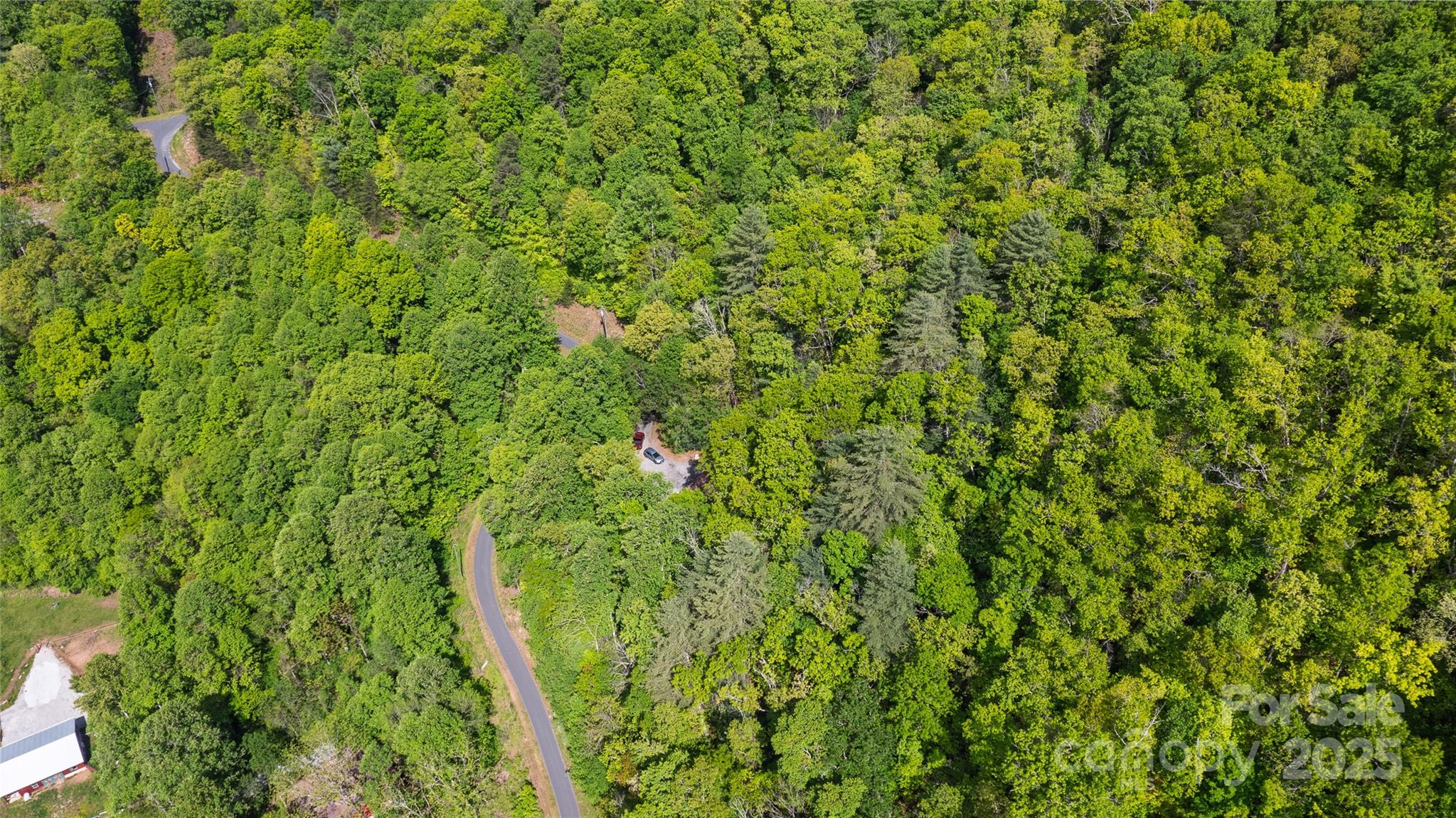 242 Eagles Roost Road Bryson City, NC 28713 - Photo 31 of 33 a view of a lush green forest with a tree