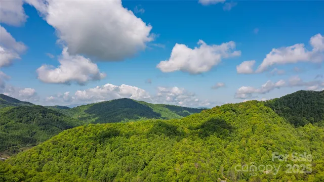 a view of a flower in a garden