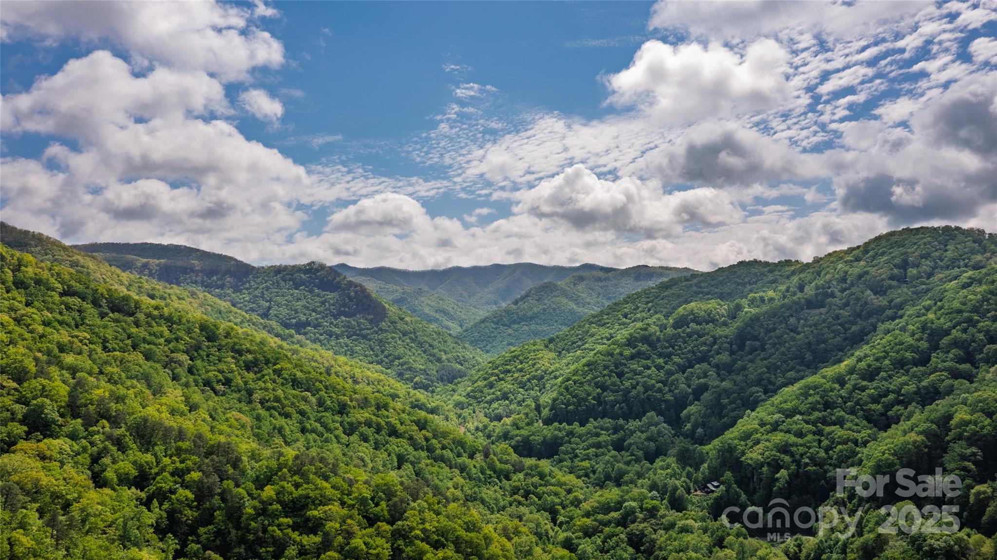 242 Eagles Roost Road Bryson City, NC 28713 - Photo 33 of 33 a view of a bunch of trees