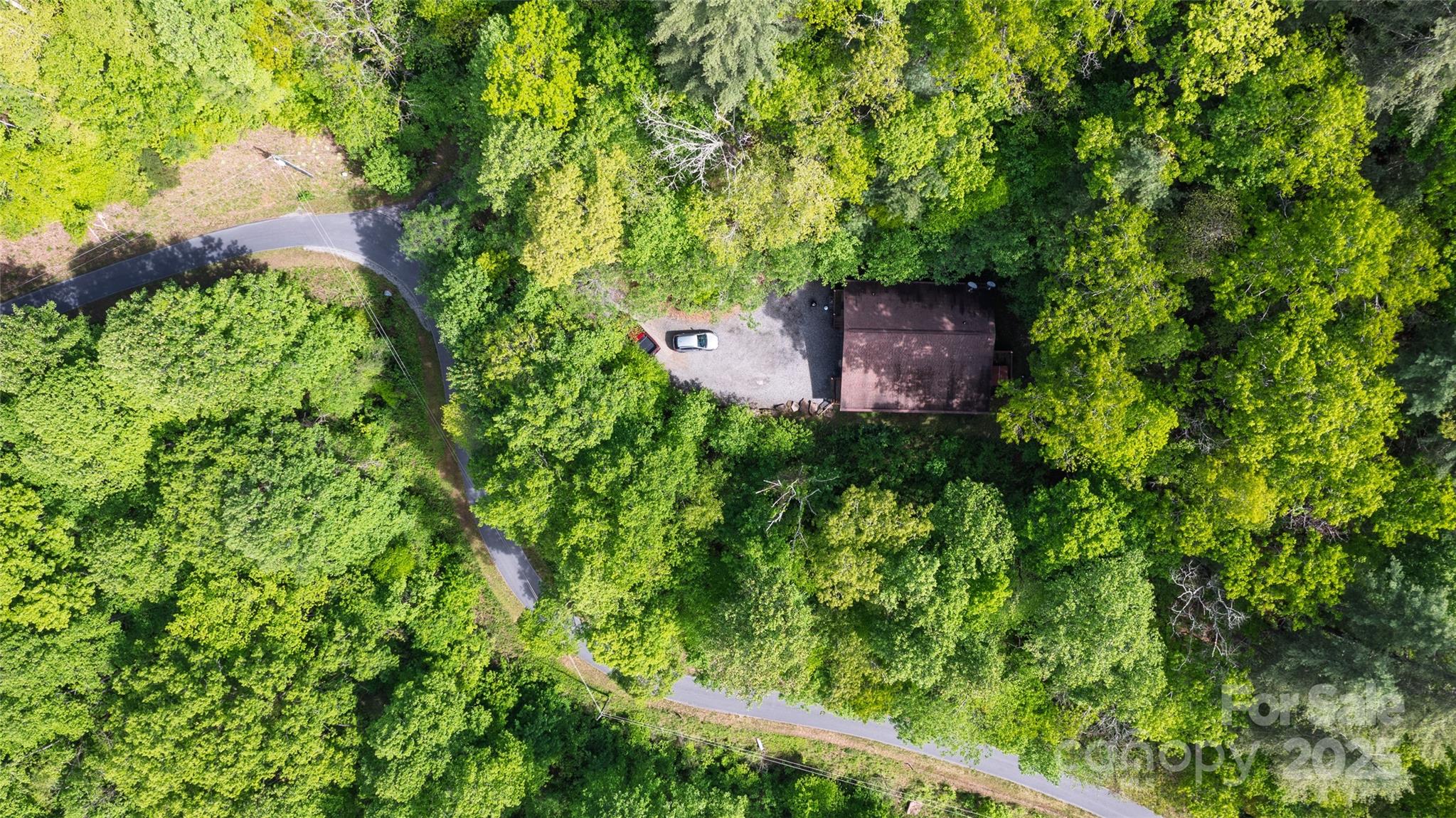 242 Eagles Roost Road Bryson City, NC 28713 - Photo 7 of 33 a view of a back yard